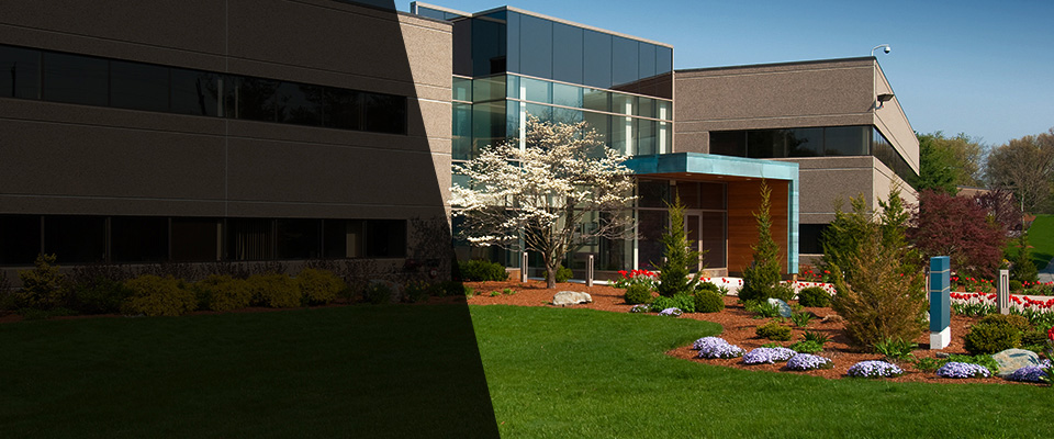 Basking Ridge Landscapers