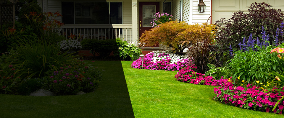 Basking Ridge Landscapers