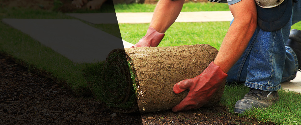 Basking Ridge Landscapers